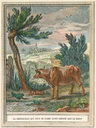 Frøen, der ville være lige så fed som kalven