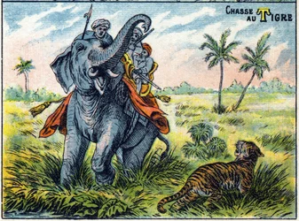 Tigerjagtscene på ryggen af en elefant. Syllabar alfabet af jagter Billedbehandling af Epinal