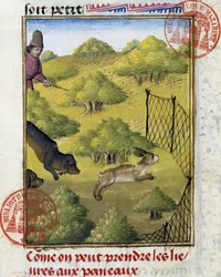 Fælde for hare og jagthunde - i "" Jagtbog af Gaston Phoebus, greve af Foix, Lord of Bearn""