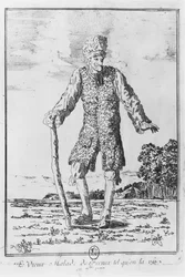 Voltaire i Ferney: 