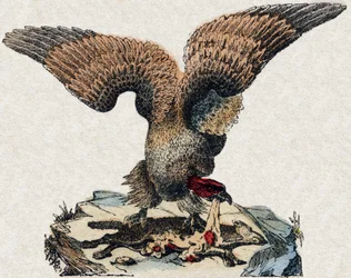 Grib. Indgravering i "" Alphabet des animaux sauvages "". 9. serie. Billede af Epinal, Pellerin, trykkeri-udgiver, ca. 1870. Graveringer på træ, stencileret. 16 sider. Mål: 20 x 15 cm. Privat samling
