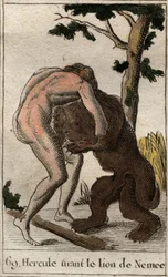 Hercules