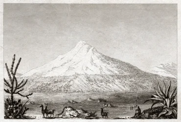 Chimborazo vulkan. (stik, ca. 1840)