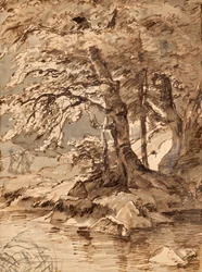 træ undersøgelse