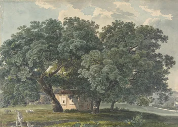 Italiensk landskab med træer recto, 1815-21.