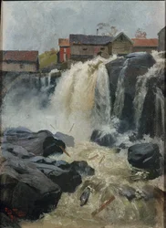Haug falder