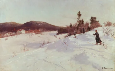 Vinter med skiløber