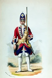 En menig i Royal North British Fusiliers i 1742, for Cannons Military Records