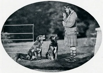 Mr. Francis Clark, The Queens Gillie, med tre af hendes yndlingshunde, c1899, 1901