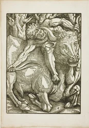 The Labours of Hercules: Hercules Capture of the Cretan Bull