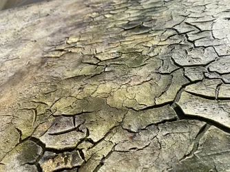 Forvitrede, naturlige revner