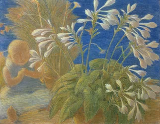 Japanske liljer, 1906
