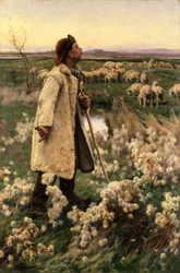 Hyrde, 1884.