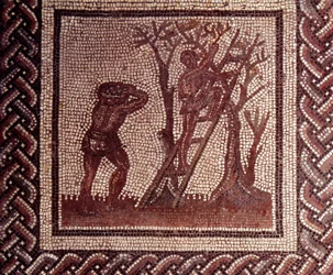 Galloromansk kunst: mosaikgulv, der forestiller en landlig kalender. Scene med olivenplukning. Slutningen af det 2., begyndelsen af det 3. århundrede e.Kr. Fra Saint-Romain-en-Gal (Rhône). Saint-Germain-en-Laye, Det Nationale Arkæologiske Museum
