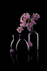 Mørke vaser, lyserøde blomster