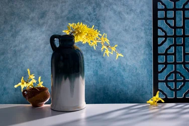 Elegant stilleben med forsythia