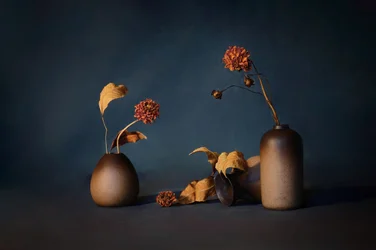 Stemningsfulde tørrede blomster