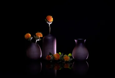 Stilleben med orange blomster