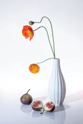 Orange valmuer og figner