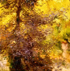 Havescene