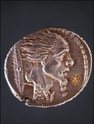 Antag profil af Vercingetorix på et Gauloise-stykke. Museum for medaljesamlingen. Milano