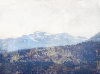 Misty Mountain-skoven