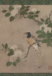 Magpie på Viburnum Branch, begyndelsen af det 16. århundrede.
