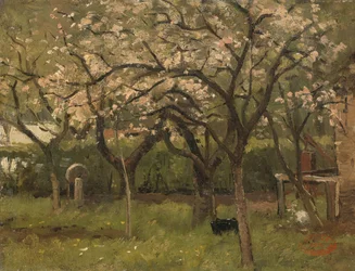 Blomstrende træ i en frugthave