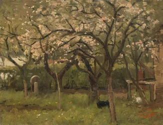 Blomstrende træ i en frugthave