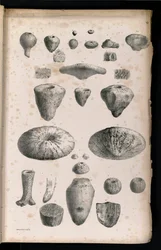 Panel 006