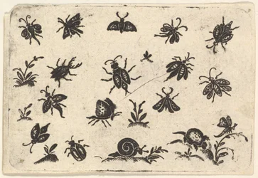 Små motiver af insekter og planter, 1596.