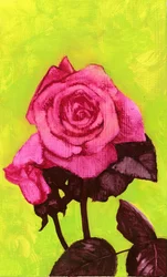 Bright Rose, 1980