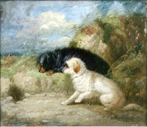Terrier ved et kaninhul