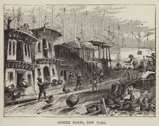 Østersbåde, New York
