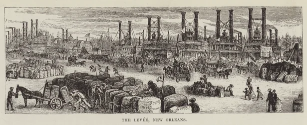 The Levee, New Orleans
