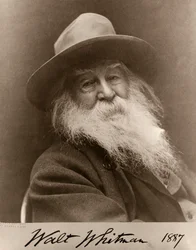 Portræt af Walt Whitman i 1887