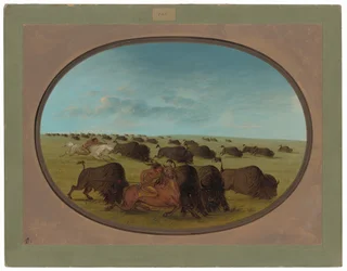 Buffalo Chase, med ulykker