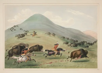 Buffalo Hunt, Chase, pl. 6 fra North American Indian Portfolio