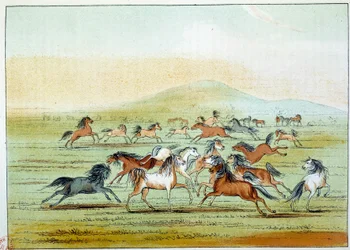 Indians of America: vilde heste jaget af indianere. Illustration af George Catlin (1794-1872)