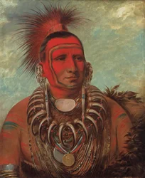 Shon-ta-yi-ga, Lille ulv, en berømt kriger, 1844-1845.