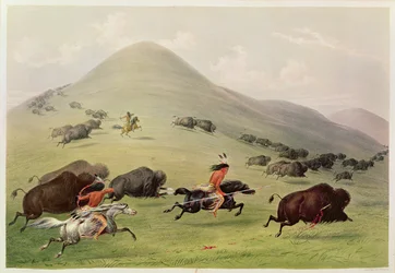 Bøffeljagten, ca. 1832