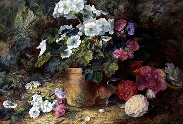 Et stilleben af pelargonier i en gryde med kameliaer