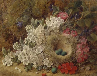 En fugl reder og blomstrer på en mosbevokset bank (olie)