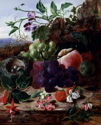 Stilleben med frugt, fuschia og fuglerede. Maleri af George Clare (1835-1899) Privat samling.