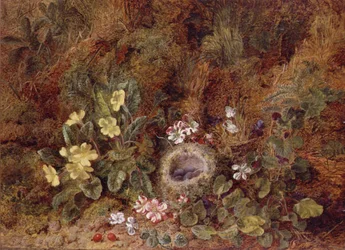 Stilleben med fuglerede og vilde blomster