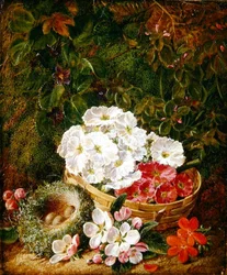 Stilleben af fuglerede, primulaer i en kurv og æbleblomst