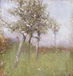 Æbleblomst