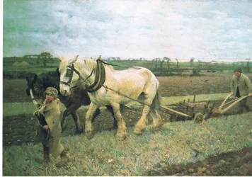 Pløjning