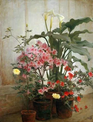 Side af et drivhus, 1870-80.