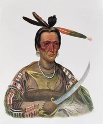 To-Ka-Cou, en Yankton Sioux Chief, 1837, illustration fra 